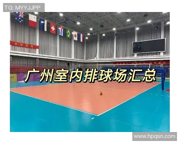 广州排球队比赛经验分析与提升策略探讨
